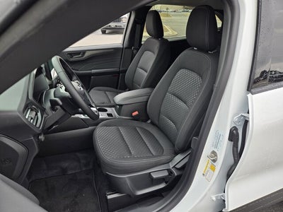 2026 Ford Escape Active®