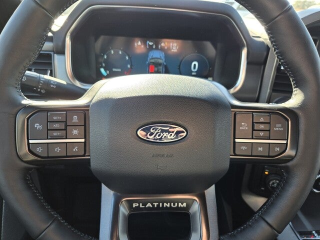 2025 Ford F-150 Platinum®
