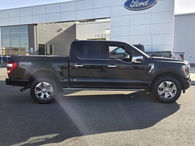 2023 Ford F-150 Platinum