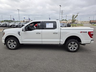 2023 Ford F-150 Platinum