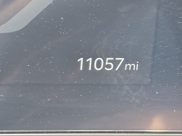2025 Kia Carnival SX
